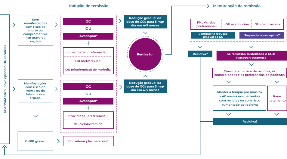 Ciclo de remiss&atilde;o